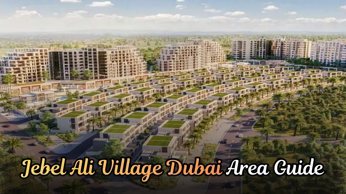 Jebel Ali Village Dubai Area Guide | All You Need to Know