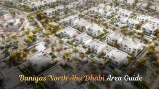 Baniyas North Abu Dhabi Area Guide