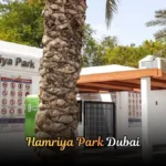 Hamriya Park Dubai Guide | Location, Facilites & More