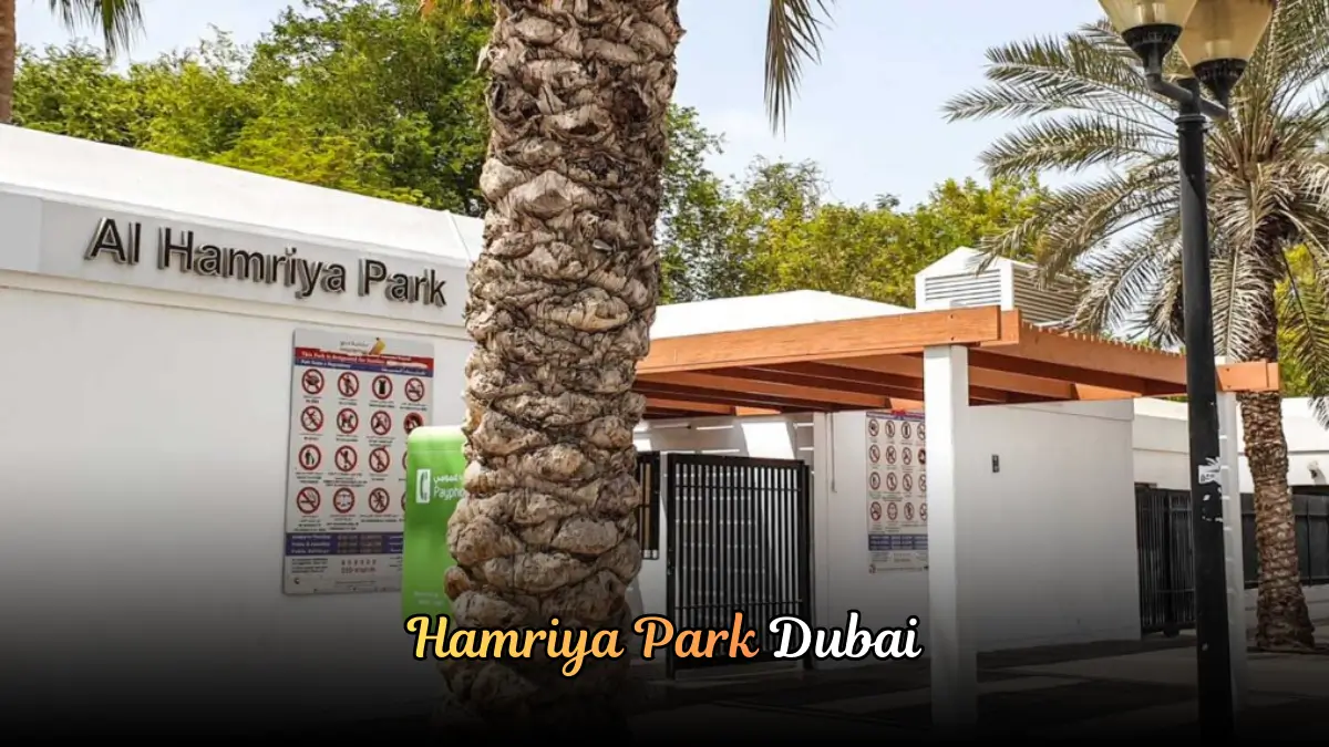 Hamriya Park Dubai Guide | Location, Facilites & More