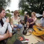 Festival Shisha Flavors That Sync with Music & Mood