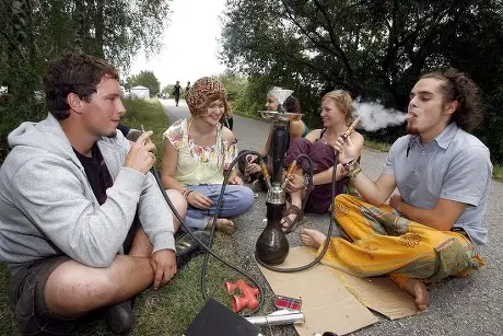 Festival Shisha Flavors That Sync with Music & Mood