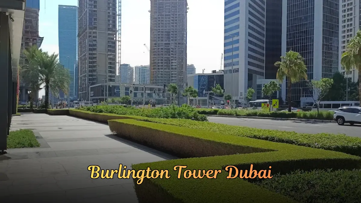 Burlington Tower Dubai | Location, Facilities & More