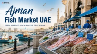 Ajman Fish Market UAE – Guide on Most Authentic Seafood